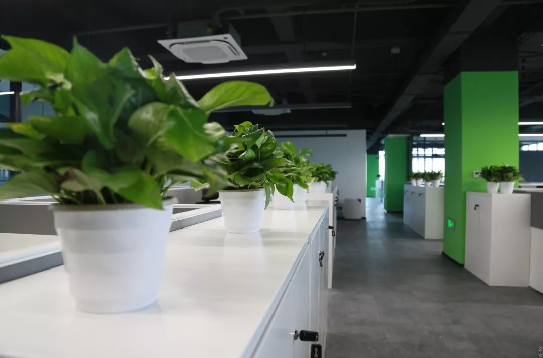 AG��˾(�й�����)�����޹�˾����